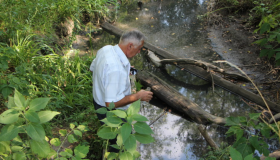 Експерти досліджують забрудненість води у Пушкарівських ставках